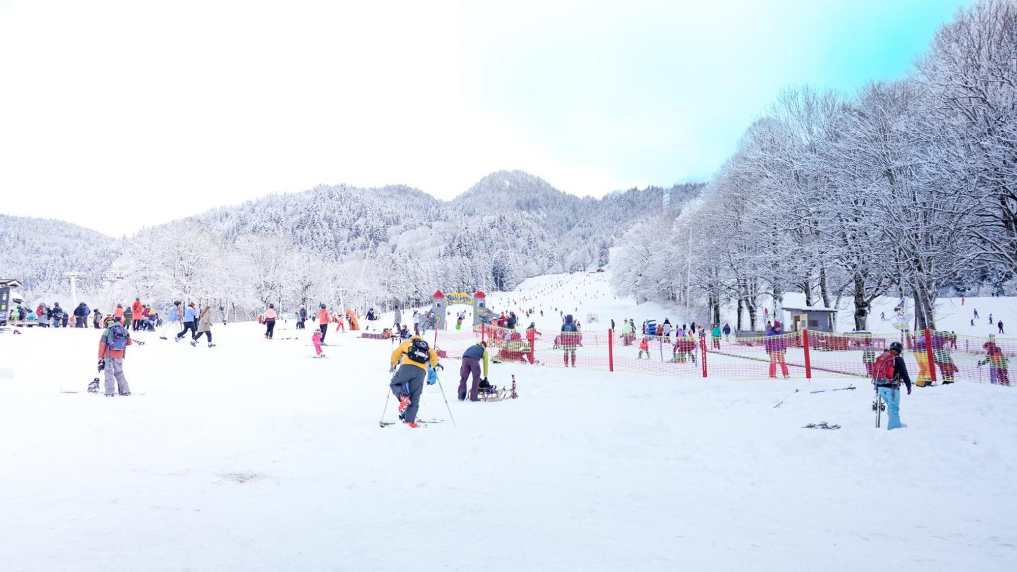 Landgasthof Zum Papyrer - Erholung Im Urlaubsgebiet レンクグリース エクステリア 写真